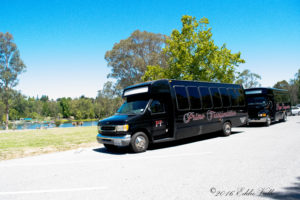 pearl-bus-party-bus-rental-service
