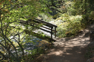 Henry W. Coe State Park